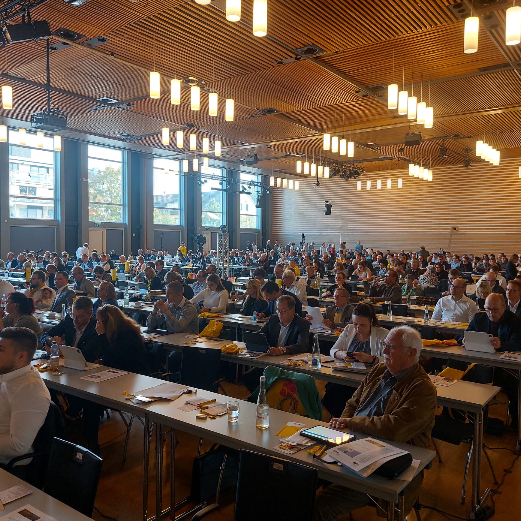 Landesvertreterversammlung der Freien Demokraten in Kehl